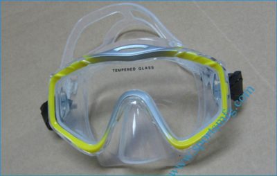 166189 (5) best swimming goggles brand